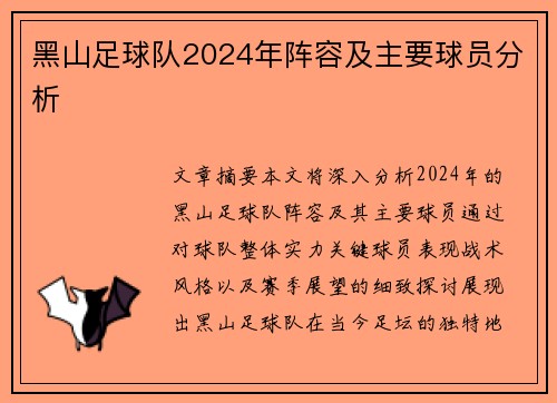 黑山足球队2024年阵容及主要球员分析